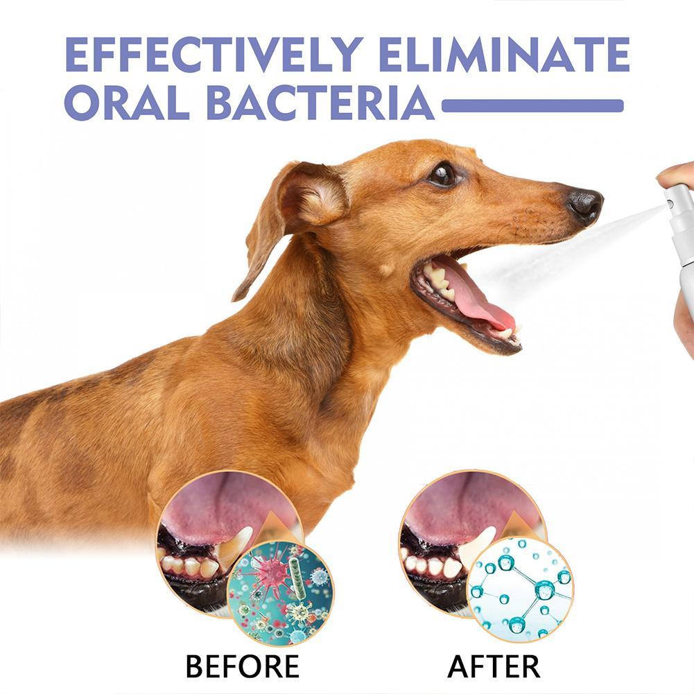 Pet Mouth Spray,Fresh Breath & - огляд і ціна Teeth Whitening Mouthwash